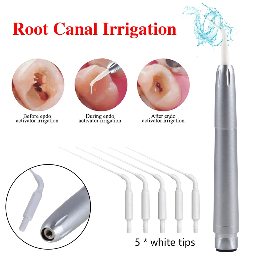 Dental Endo Irrigator Tips Sonic Handpiece For KaVo  Air Scaler tips 2/4H