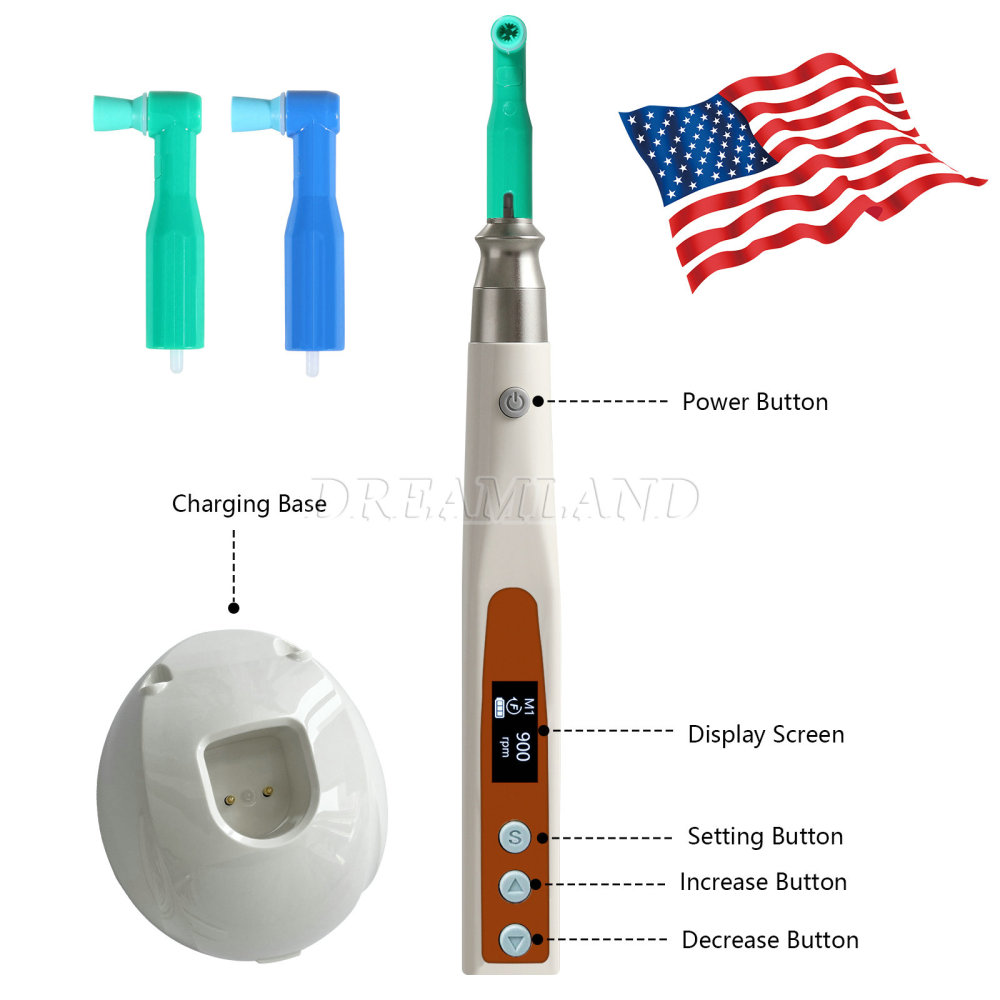Dental Electric Hygiene Polishing Prophy Handpiece +2 Prophy Angles