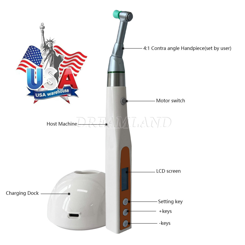 Dental Electric Wireless Hygiene Prophy Handpiece 4:1 Reciprocating Polishing fit prophy cups