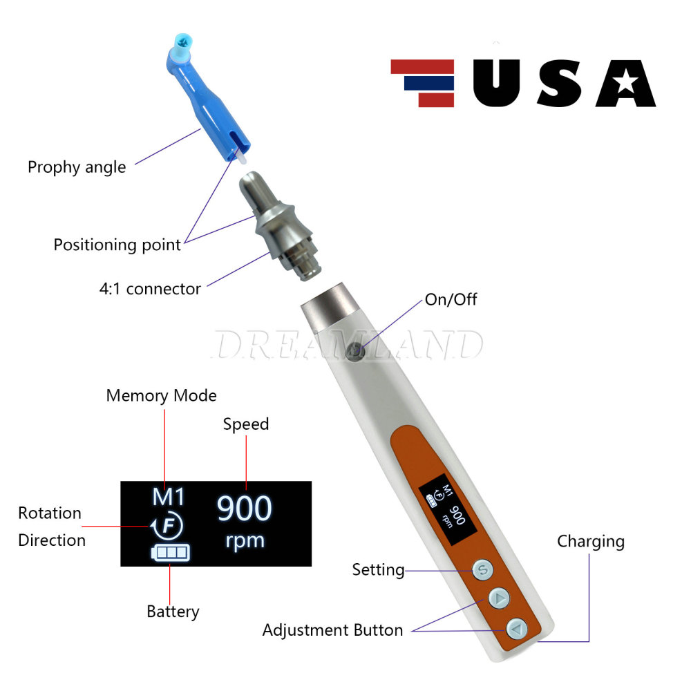 Dental Electric Hygiene Polishing Prophy Handpiece +2 Prophy Angles