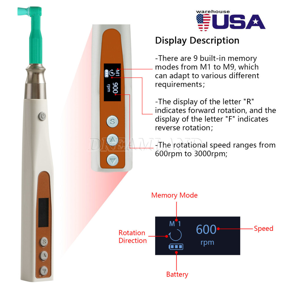 Dental Electric Hygiene Polishing Prophy Handpiece +2 Prophy Angles