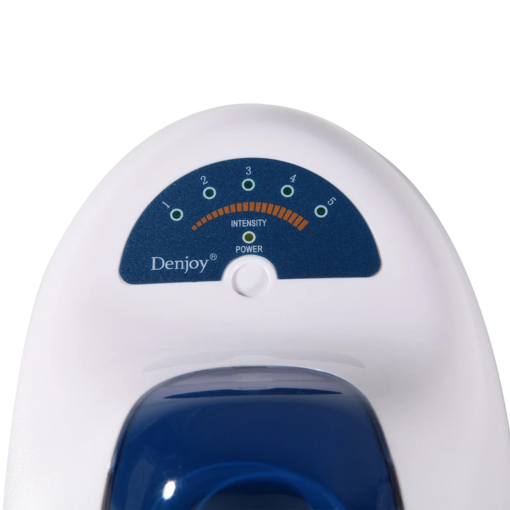 Denjoy Dental Cordless LED Cure Curing Light Lamp W/ Lightmeter 2200MW