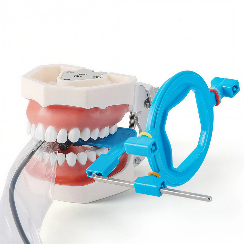 Dental X-Ray Positioner Digital Xray Sensor Holder Film Positioning System