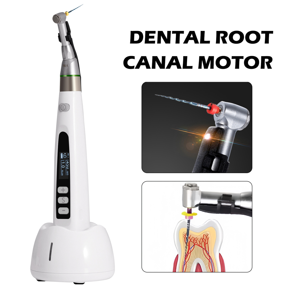 Dental Cordless LED Endo Motor 16:1 Contra Angle/Apex Locator Root Canal Finder/Files