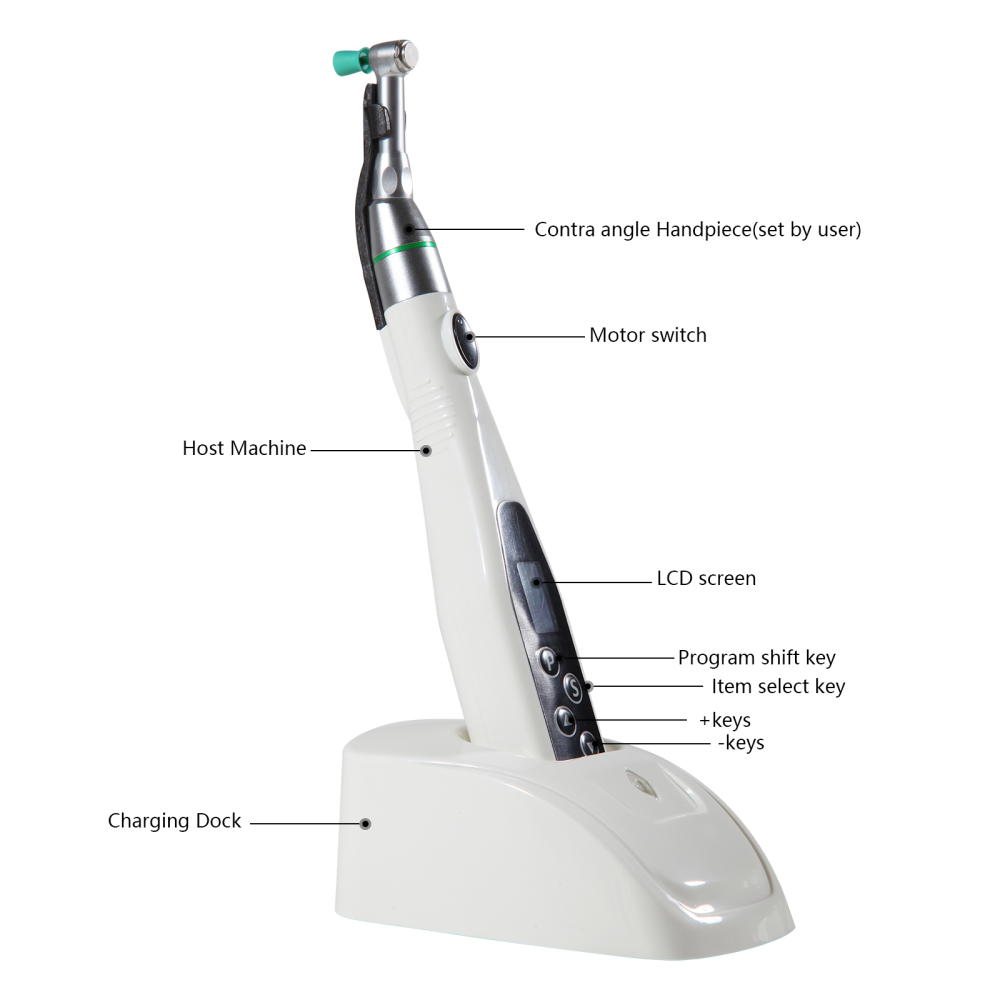 Dental Cordless Hygiene Prophy Polishing Handpiece 4:1 LED Motor fit prophy cups