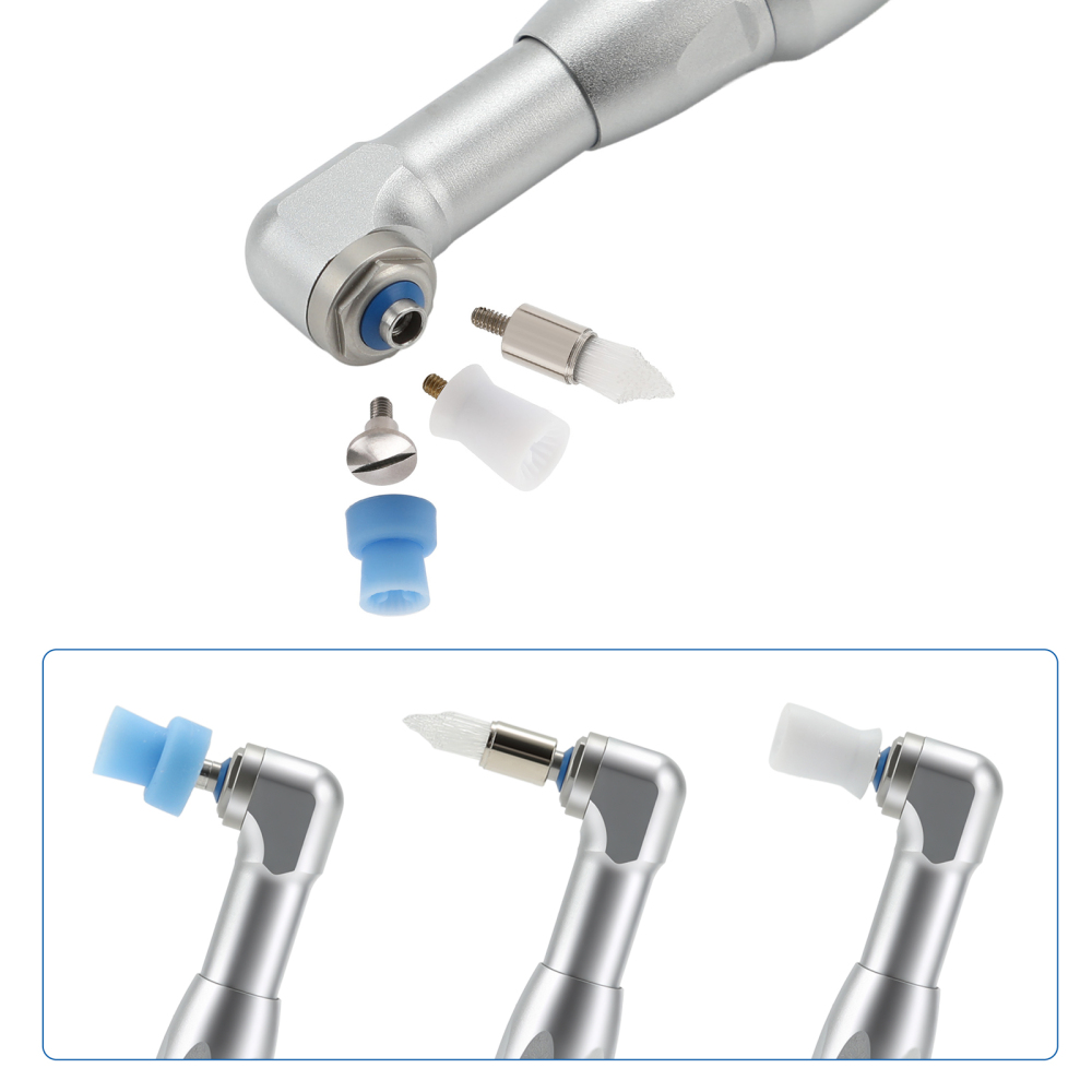 Dental 4:1 Low Speed Prophy Contra Angle Handpiece fit Screw-in & Snap-on cups