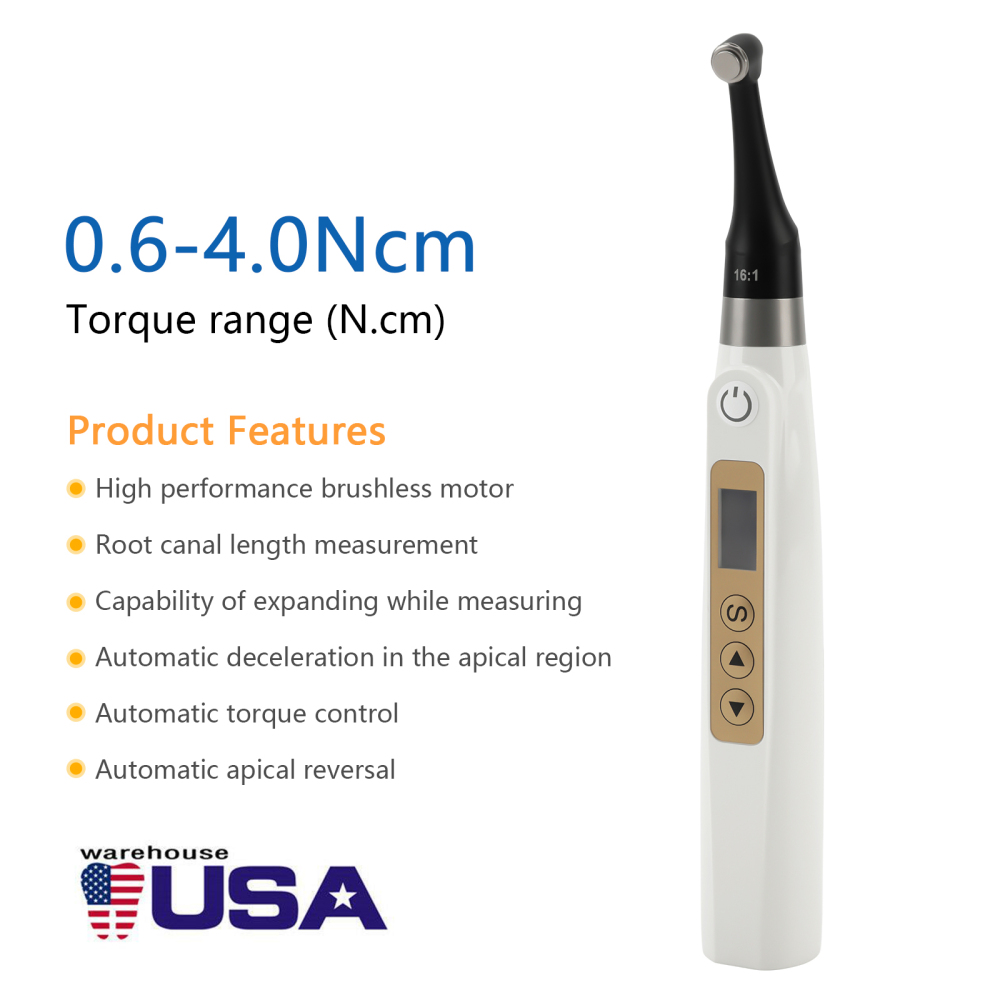Mini Head Dental Endo Motor 10 Memory Programs 16:1 Reciprocating