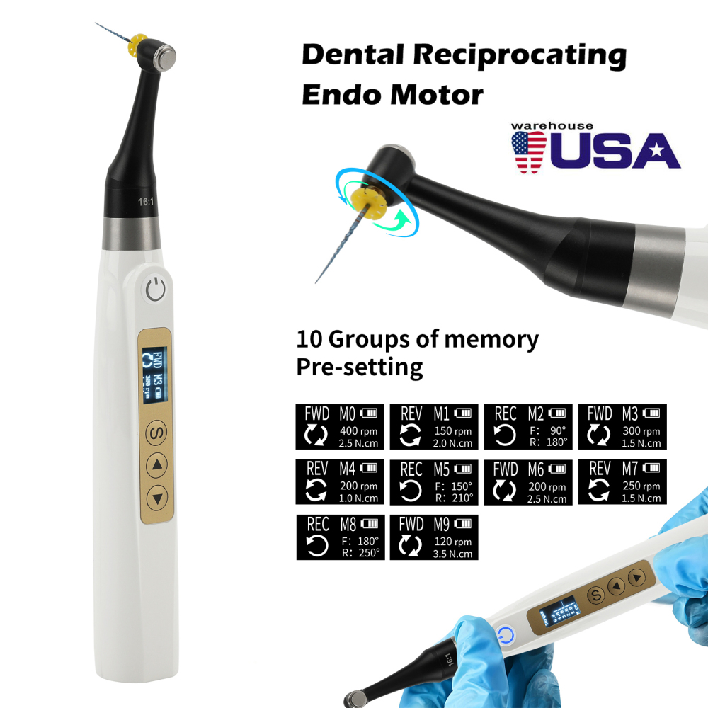 Mini Head Dental Endo Motor 10 Memory Programs 16:1 Reciprocating