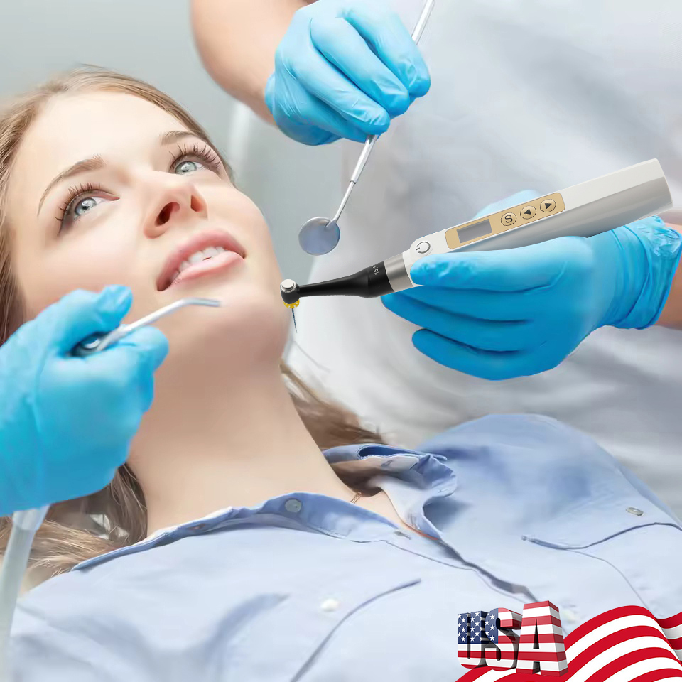 Mini Head Dental Endo Motor 10 Memory Programs 16:1 Reciprocating