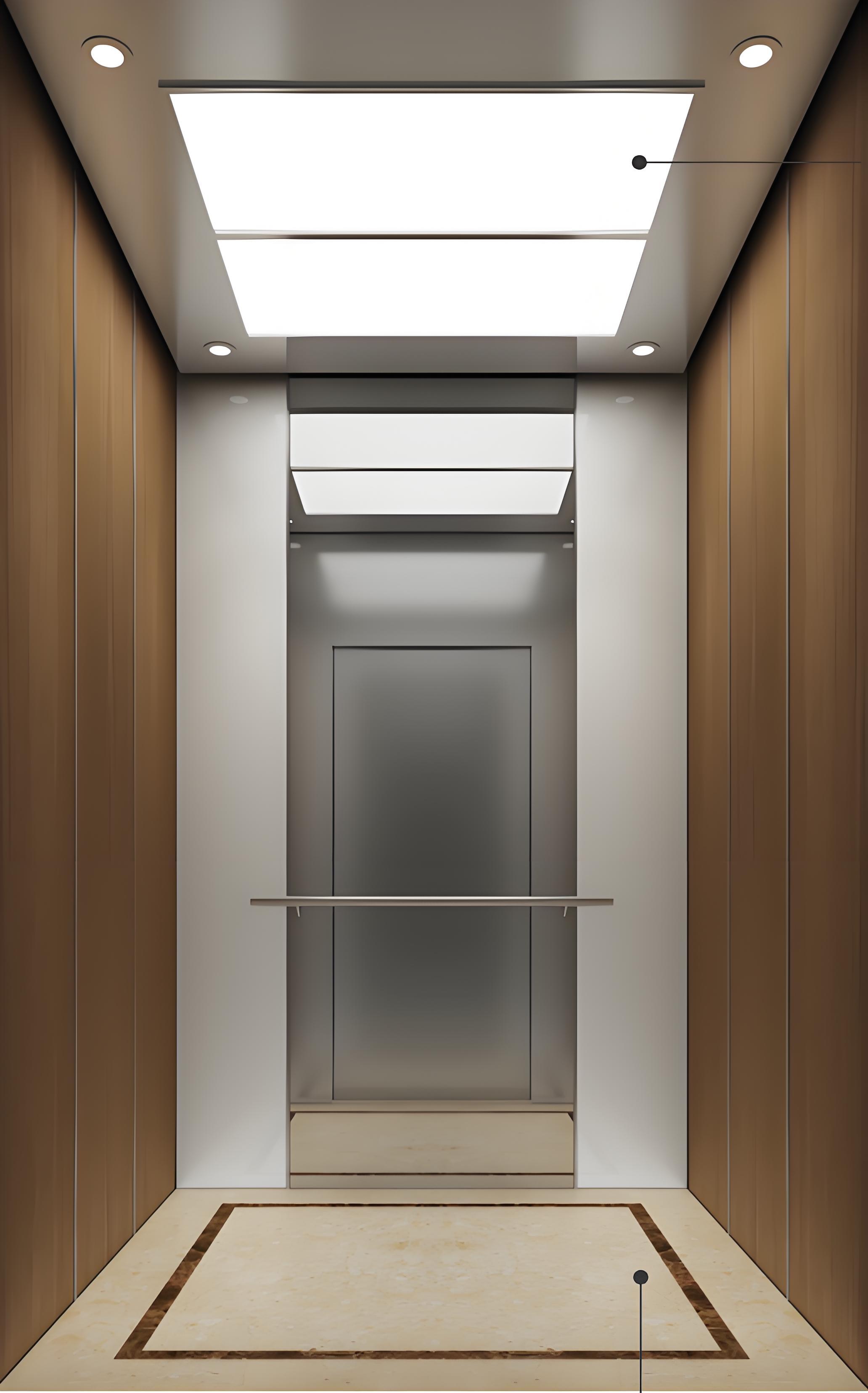 Passenger Elevator LCE-PE-004