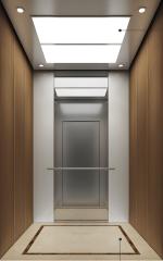 Passenger Elevator LCE-PE-004