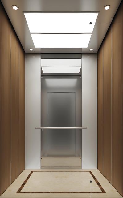 Passenger Elevator LCE-PE-004