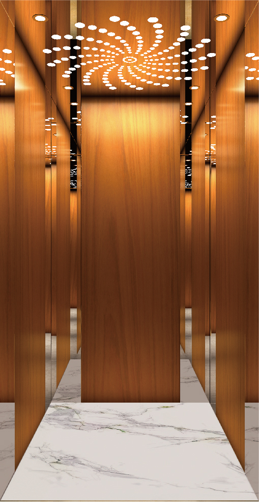 Villa Elevator LCE-VE-002