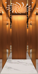 Villa Elevator LCE-VE-002