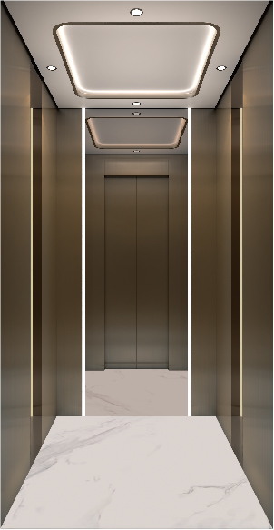 Villa Elevator LCE-VE-003