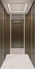 Villa Elevator LCE-VE-003