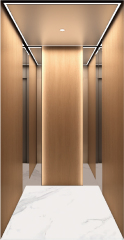 Villa Elevator LCE-VE-004