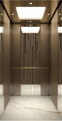 Villa Elevator LCE-VE-008