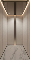 Villa Elevator LCD-VE-022310
