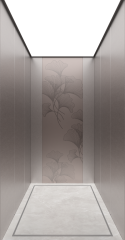 Villa Elevator LCD-VE-022313-2