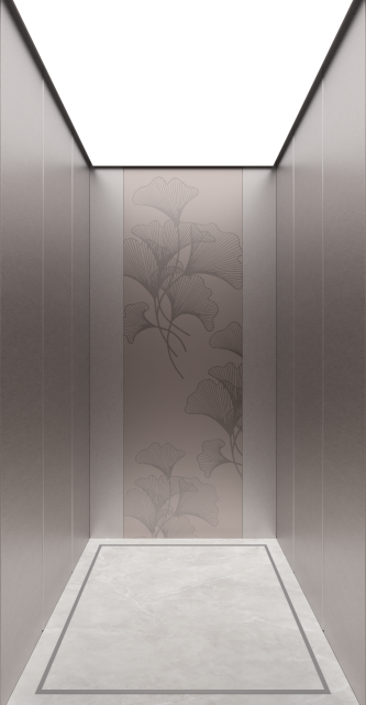 Villa Elevator LCD-VE-022313-2