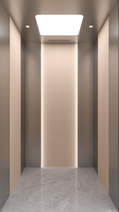 Villa Elevator LCD-VE-022411