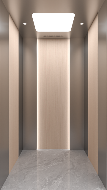 Villa Elevator LCD-VE-022411