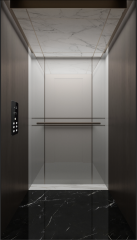 Villa Elevator LCD-VE-022205