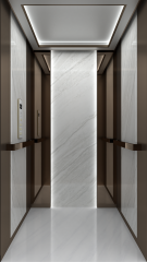 Villa Elevator LCD-VE-022216