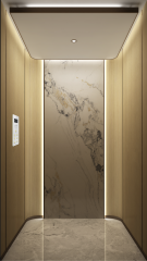 Villa Elevator LCD-VE-022320