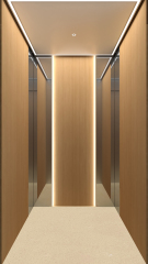 Villa Elevator LCD-VE-022308