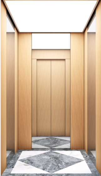 Villa Elevator LCC-VE-B002