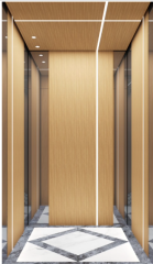 Villa Elevator LCC-VE-B007