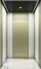 Villa Elevator LCC-VE-B016