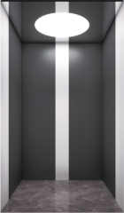 Villa Elevator LCC-VE-B019