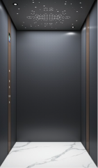 Villa Elevator LCC-VE-B023