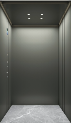 Villa Elevator LCC-VE-B024