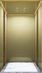 Villa Elevator LCC-VE-B025