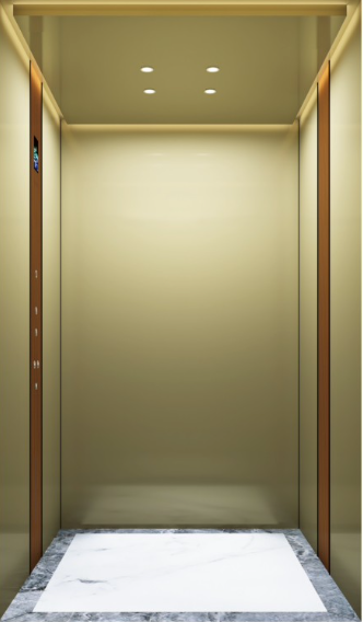 Villa Elevator LCC-VE-B025