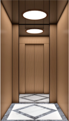 Villa Elevator LCC-VE-B029