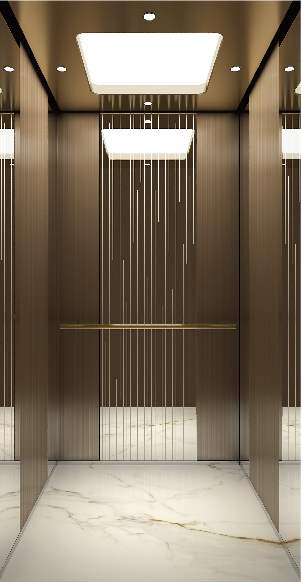 Villa Elevator LCB-VE-407