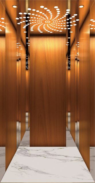 Villa Elevator LCB-VE-2412
