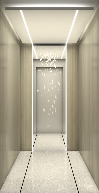 Villa Elevator LCB-VE-G