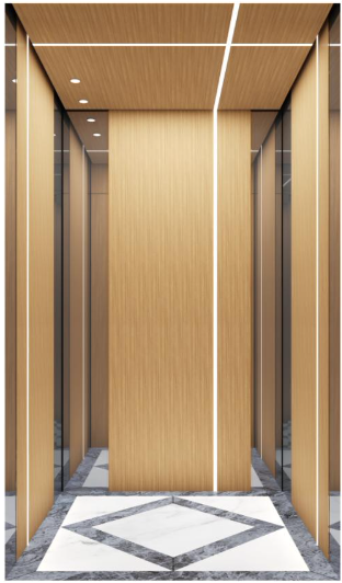 Villa Elevator LCC-VE-B007