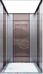 Villa Elevator LCC-VE-B008