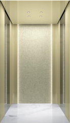 Villa Elevator LCC-VE-B010