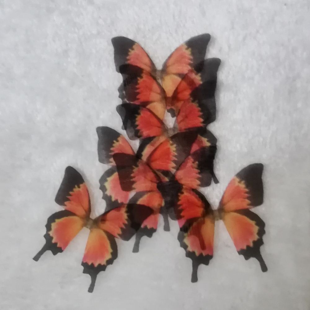 Papilionidae Silk Butterfly Wings, Half Transparent Butterfly Applique, Orange Lace Butterfly Pieces