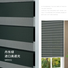SR55531
