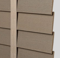 非洲白木木百叶