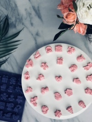 قالب بسكويت أو شوكولاتة لعيد الميلاد لمدة 24 يومًا BM109 | قالب شوكولاتة سيليكون